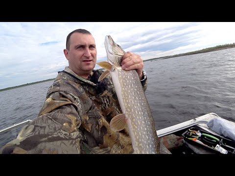 Видео: Рыбалка спиннингом на весеннюю щуку.