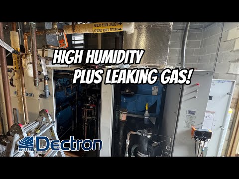 Видео: GIANT Pool Dehumidator требует 175 фунтов газа! и новые клапаны подогрева