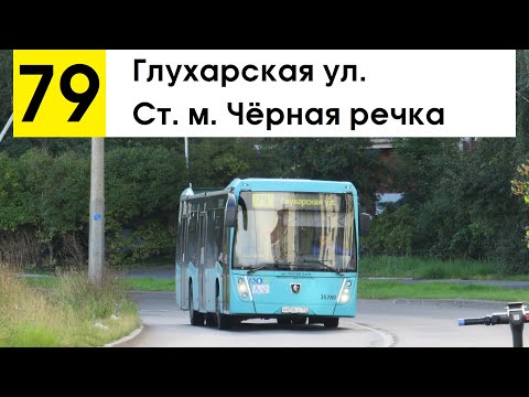 Видео: Автобус 79 "Глухарская ул. - ст. м. "Чёрная речка"
