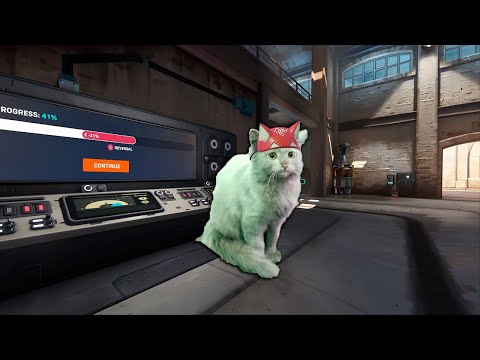 Видео: Корейский заводчанин