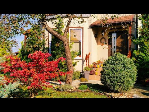 Видео: 🏠🍁ЖИТЬ ПРОСТОЙ ЖИЗНЬЮ и Радоваться мелочам. Преображаем Сад. Уютные Осенние Будни #дом #garden