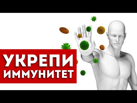 Видео: Как быстро укрепить иммунитет? Есть 9 способов