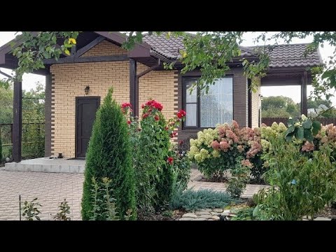 Видео: Сентябрь в саду, прогулка, размышления об уходе