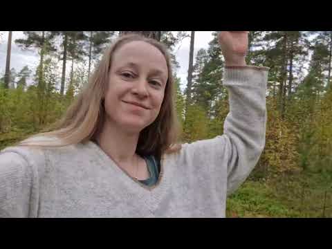 Видео: Есенни разходки в северната гора на Септември в Северна Швеция