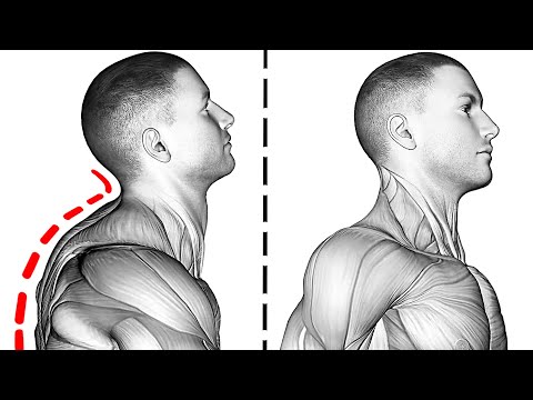 Видео: 10 Упражнений Улучшающих Осанку