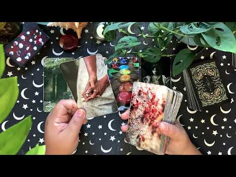Видео: Близнецы ♊️: выбирают свет. 💡🦋