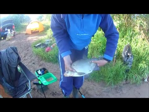 Видео: Рыбалка на р.Луга . д.Куровицы. Ловим лещей на ФИДЕР.