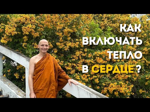 Видео: День 2️⃣ Любящая Доброта как солнце в сердце. Практика с Аджаном Хубертом. 2025.10.13
