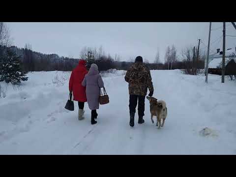 Видео: Аркуль, зима , старый  Новый год 2023