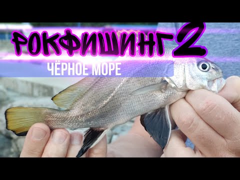 Видео: РОКФИШИНГ! Как поймать горбыля? Мы ее нашли, кефаль на Спиннинг!!