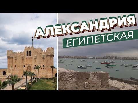 Видео: Александрия египетская / Зоткингид