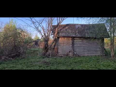 Видео: Прогулка по заброшенной тверской деревне