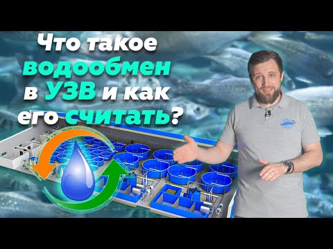 Видео: Почему ОЧЕНЬ ВАЖЕН правильный РАСЧЕТ ВОДООБМЕНА в системе УЗВ?