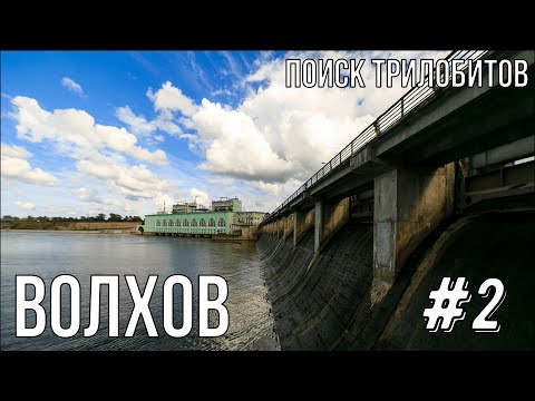 Видео: Поиск трилобитов река Волхов #2 /Searching for Trilobites #2