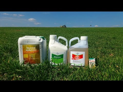 Видео: Первая обработка пшеницы по листу СЕЗОН 2019  . Агро-канал