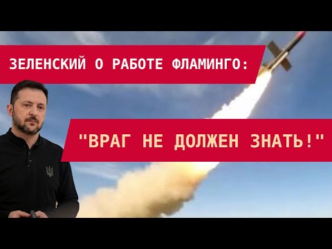 Видео: Зеленский о Фламинго: "Враг не должен знать!"