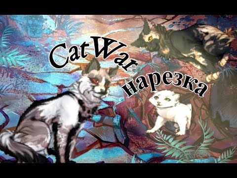 Видео: НАРЕЗКА О ПЛЕМЕНИ ЛУНЫ Catwar