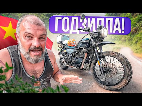 Видео: Годзилла!!! Целую Royal Enfield Himalayan 411 прямо в бак #МОТОЦИКЛЫ №211