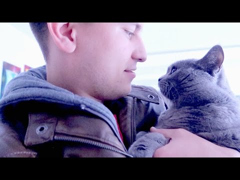 Видео: VLOG: МЫ ДОМА! СПАЛИ 14 ЧАСОВ! 15.04.17