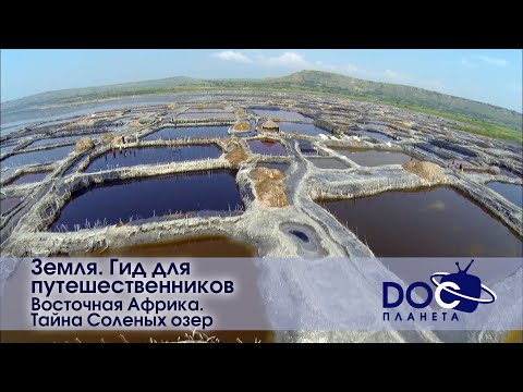 Видео: Земля.Гид для путешественников.Восточная Африка - Фильм 3.Тайна соленых озер - Документальный