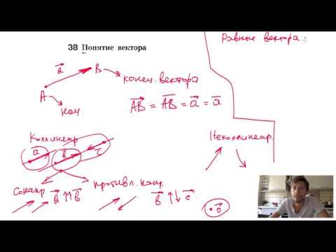 Видео: 38. Понятие вектора
