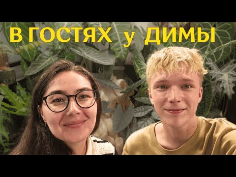 Видео: комната-кабинет С РАСТЕНИЯМИ, змеями и НЕОБЫЧНЫМ ОФОРМЛЕНИЕМ зелёной коллекции | в гостях У ДИМЫ 🪴
