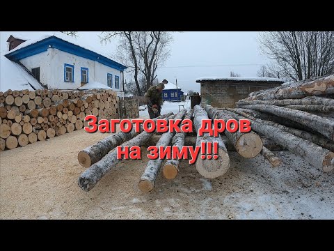 Видео: Заготовка дров на зиму.Как мы с братом дрова пилили.