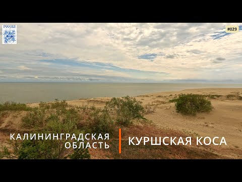 Видео: Куршская коса (Калининградская область). Станция птиц Фрингилла, Танцующий лес, дюна Эфа