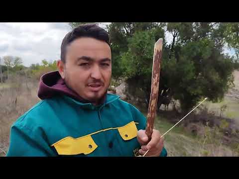 Видео: Както обикновенно на паша с животните на село
