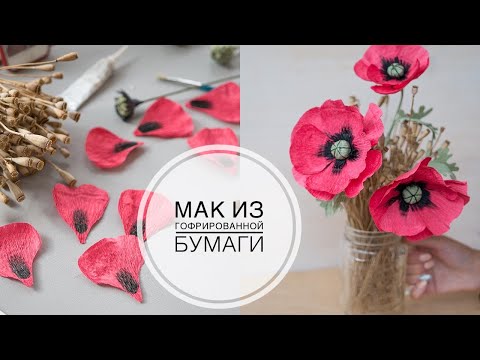 Видео: Mack of paper / Мак из гофрированной бумаги / DIY Tsvoric