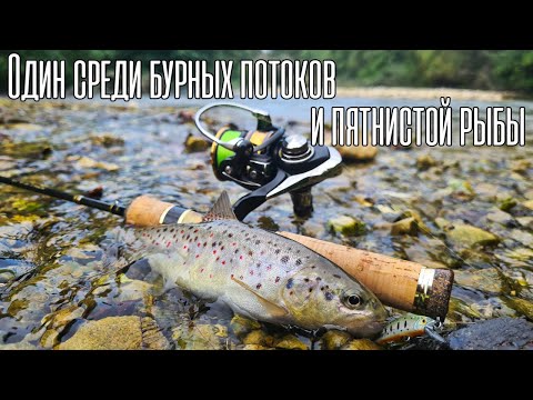 Видео: НЕ РЫБАЛКА, А СКАЗКА! Форель в горной реке