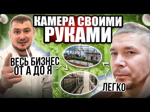 Видео: Мой Ученик Рустам и Его Первый Опыт в Бизнесе На Грибах