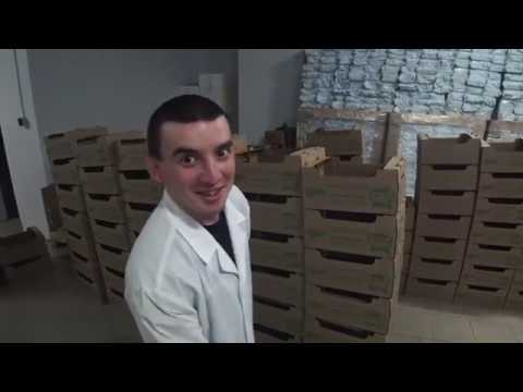 Видео: Вся правда о Баварии