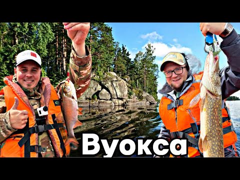Видео: РЫБАЛКА НА ВУОКСЕ. ДИКИЙ КЛЕВ РЫБЫ.