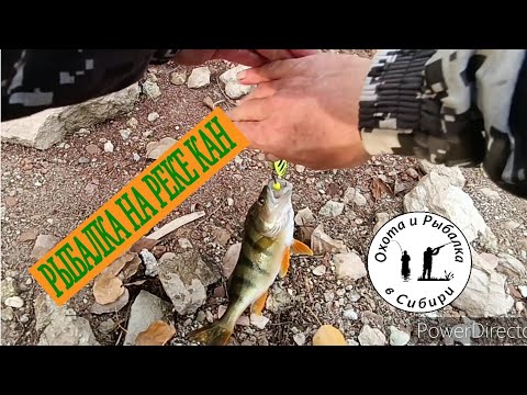 Видео: рыбалка на реке Кан, осенний листопад 😔