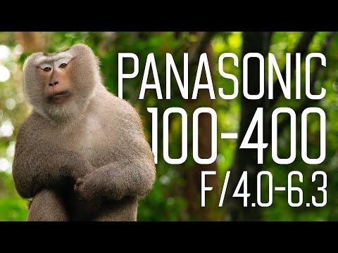 Видео: Panasonic Leica DG Vario-Elmar 100-400мм F/4.0-6.3 ASPH | Обзор, тестовые фото и видео
