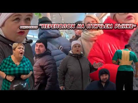 Видео: ОЛЬГА УРАЛОЧКА LIVE// ПЕРЕПОЛОХ НА ПТИЧЬЕМ РЫНКЕ//