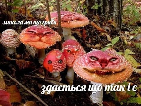 Видео: СТРИМ | Играем в майнкрафт с  Мелькором.