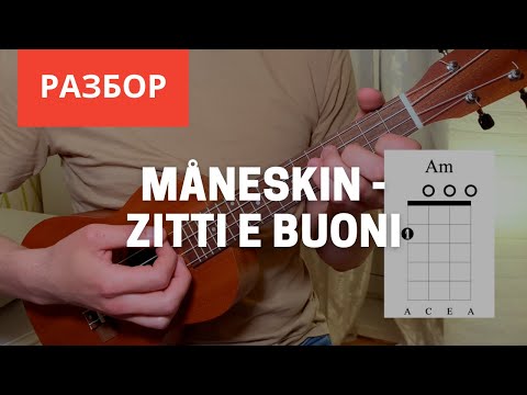 Видео: Maneskin - ZITTI E BUONI Полный разбор на Укулеле