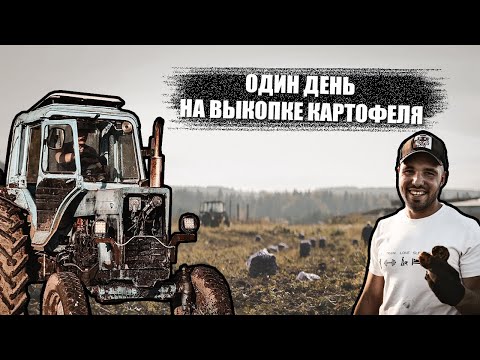 Видео: Один день на выкопке нашими глазами!