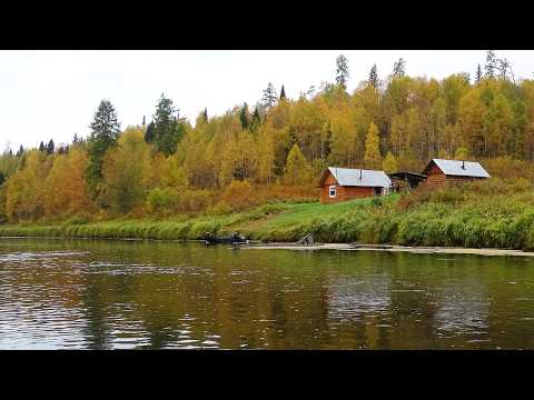 Видео: Путешествие на Ямозеро Ч30. Один в тайге. Лесная изба - таёжное зимовье. Сплав. Реки Пижма и Умба