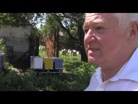 Видео: Ох уж эти облётники!!!!