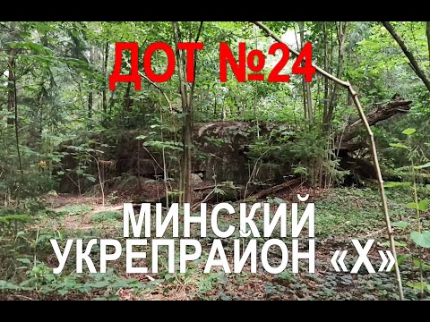Видео: ДОТ №24, поиск, осмотр, лес, окопы. Укрепрайон "Х", Беларусь. Долговременная огневая точка СССР