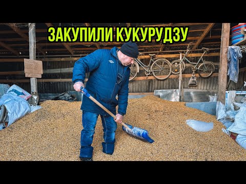 Видео: Продали Зерновідход🌾Купили Кукурудзу 🌽
