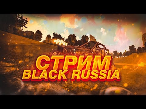 Видео: СТРИМ ПО BLACK RUSSIA! ПЕРВЫЕ ВПЕЧЕТЛЕНИЯ #shorts