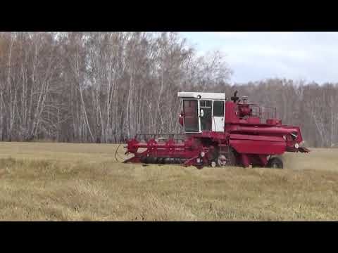 Видео: Уборочная 2018. Енисей 1200-1.  Мтз-80