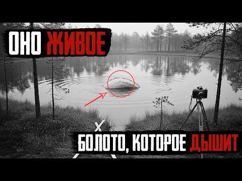 Видео: БОЛОТО РАСТЁТ СО СКОРОСТЬЮ 800 ГЕКТАРОВ В ГОД! Учёные НЕ МОГУТ Объяснить Эту Аномалию