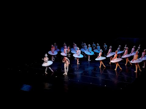 Видео: Лебединое озеро. Мариинский театр 20.11.23