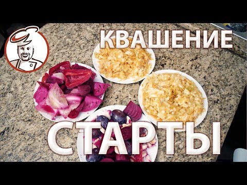 Видео: Квасим капусту! А что, нужны старты для этого?