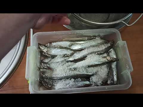 Видео: Вяленная мойва самый простой и вкусный рецепт!!!!